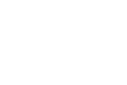 Original Irish Hotels logo